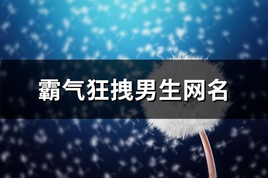 霸气狂拽男生网名(精选769个)