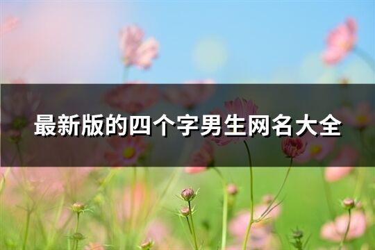 最新版的四个字男生网名大全(1556个)