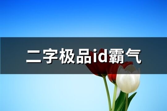 二字极品id霸气(精选360个)