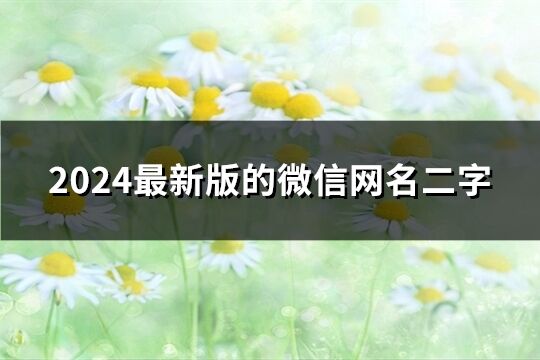 2024最新版的微信网名二字(共897个)