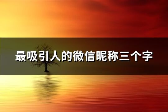 最吸引人的微信昵称三个字(260个)