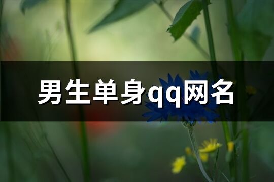 男生单身qq网名(61个)