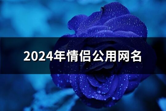 2024年情侣公用网名(精选175个)