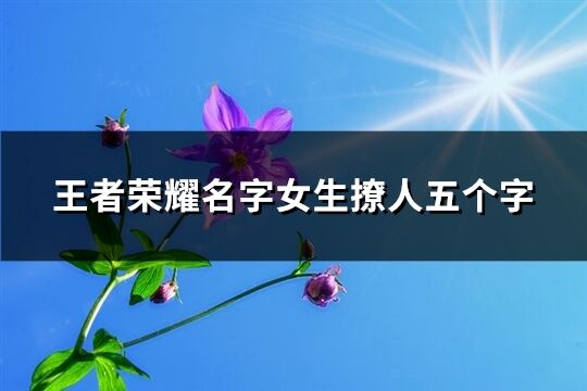 王者荣耀名字女生撩人五个字(优选227个)