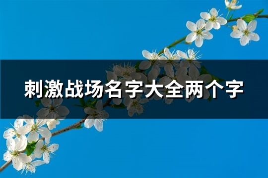 刺激战场名字大全两个字(共431个)