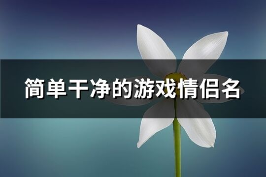 简单干净的游戏情侣名(优选110个)