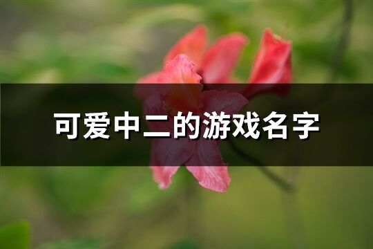 可爱中二的游戏名字(优选224个)