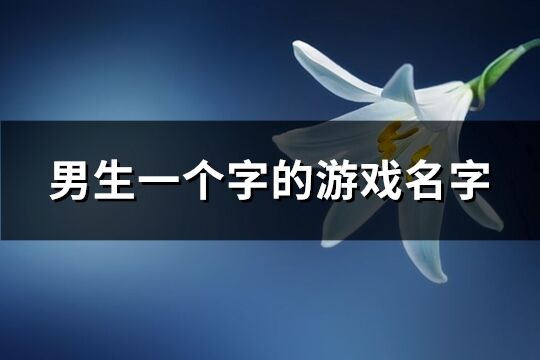 男生一个字的游戏名字(优选270个)