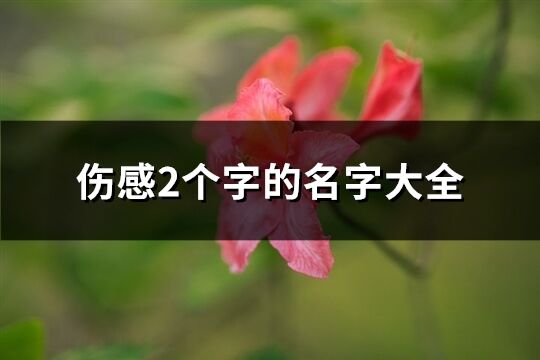 伤感2个字的名字大全(精选302个)