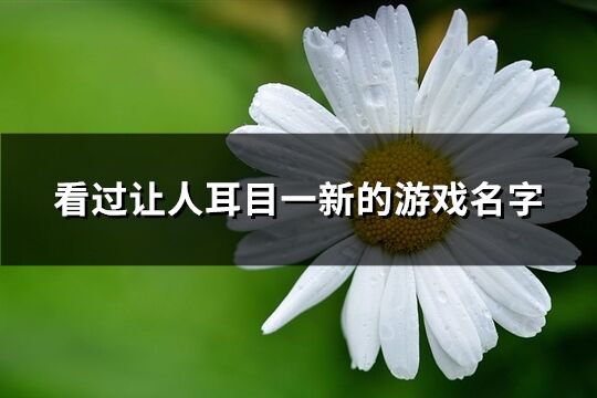 看过让人耳目一新的游戏名字(精选145个)