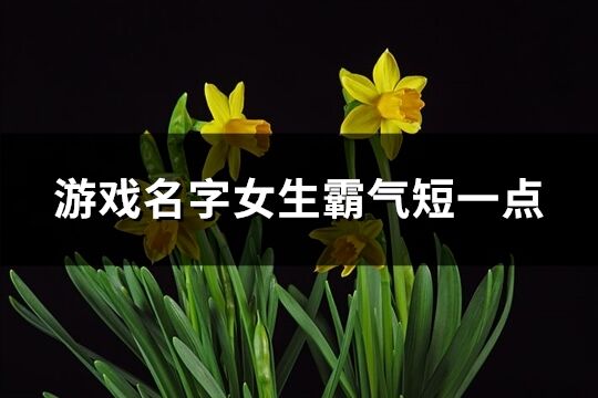 游戏名字女生霸气短一点(222个)