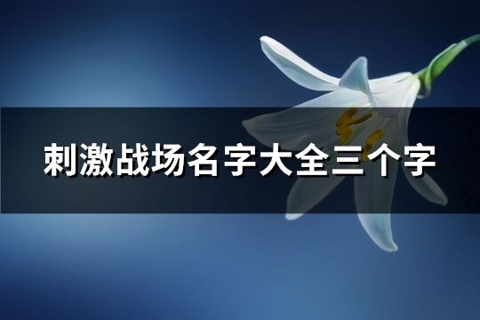 刺激战场名字大全三个字(优选442个)