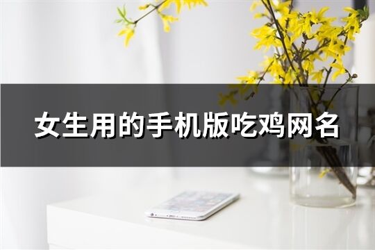 女生用的手机版吃鸡网名(精选540个)