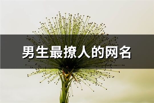 男生最撩人的网名(共384个)