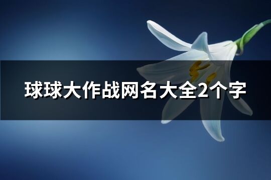 球球大作战网名大全2个字(优选73个)