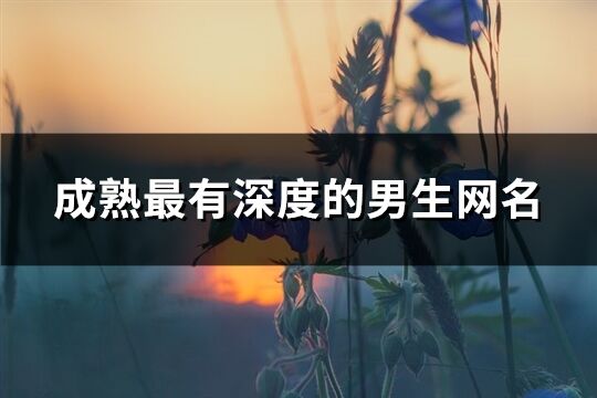 成熟最有深度的男生网名(精选1172个)