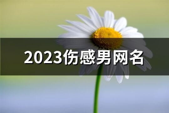 2023伤感男网名(582个)