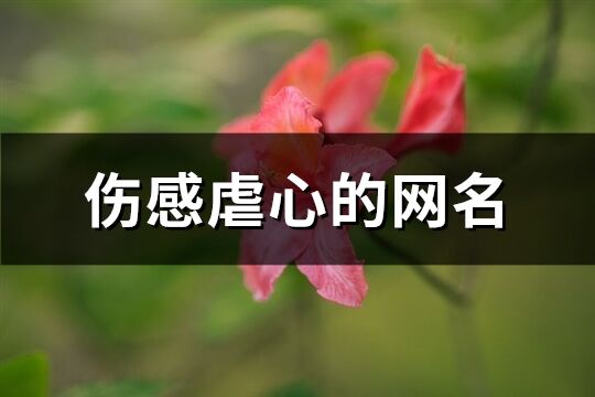 伤感虐心的网名(优选198个)