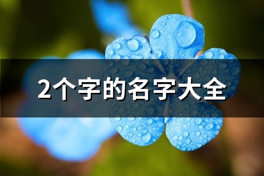 2个字的名字大全(精选1988个)