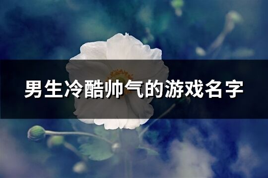 男生冷酷帅气的游戏名字(精选661个)