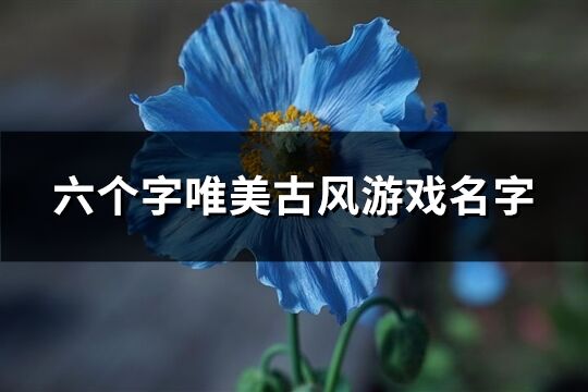 六个字唯美古风游戏名字(共542个)