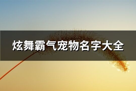 炫舞霸气宠物名字大全(93个)