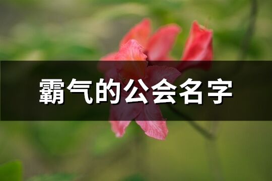 霸气的公会名字(共698个)