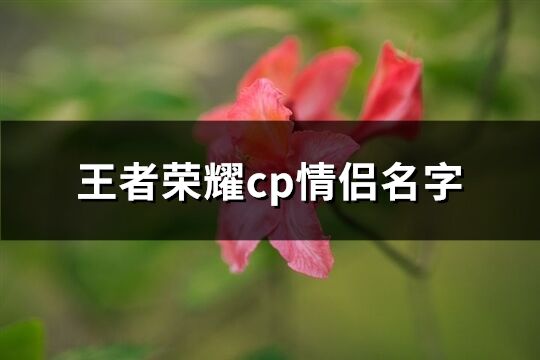 王者荣耀cp情侣名字(共255个)