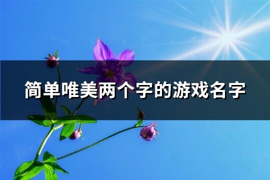 简单唯美两个字的游戏名字(精选1392个)