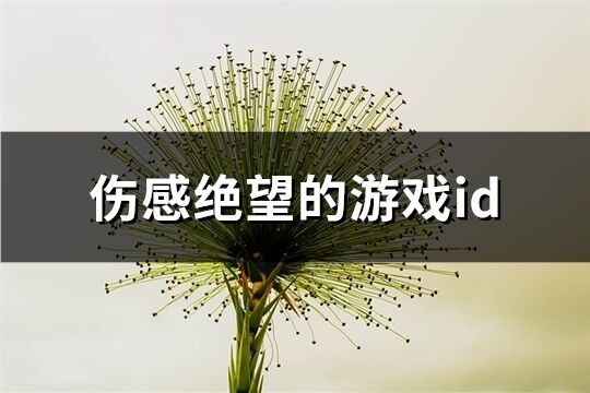 伤感绝望的游戏id(精选582个)