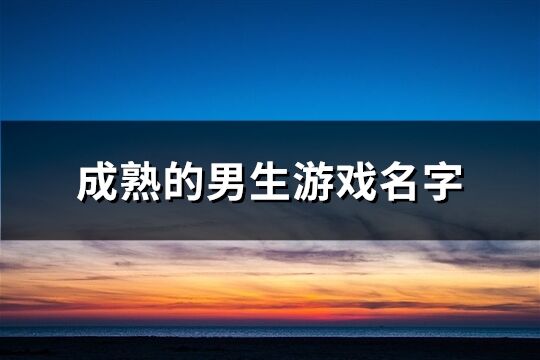 成熟的男生游戏名字(精选500个)