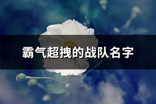 霸气超拽的战队名字(521个)