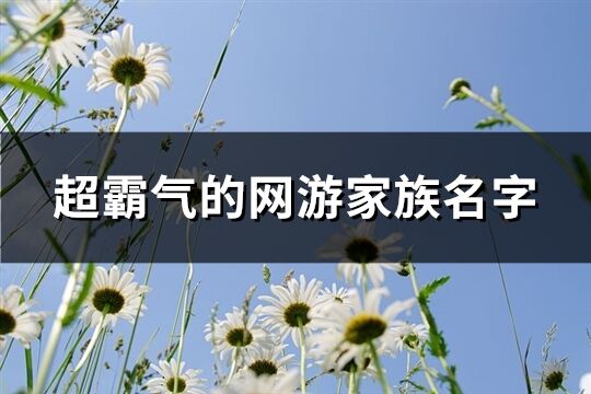 超霸气的网游家族名字(共411个)