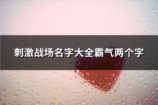 刺激战场名字大全霸气两个字(共415个)