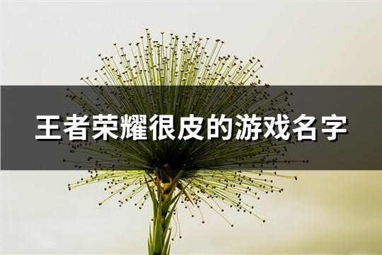 王者荣耀很皮的游戏名字(302个)