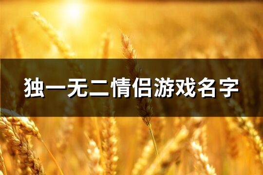 独一无二情侣游戏名字(共244个)