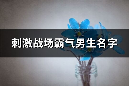 刺激战场霸气男生名字(精选486个)