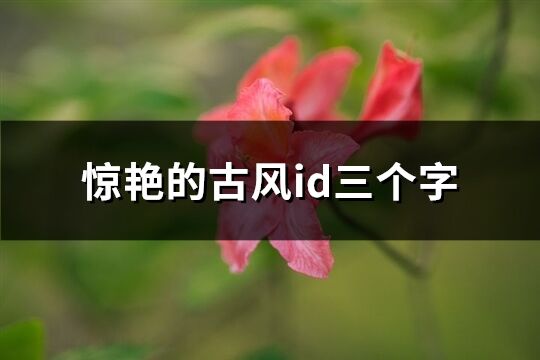 惊艳的古风id三个字(78个)