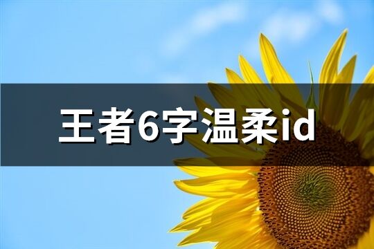 王者6字温柔id(60个)