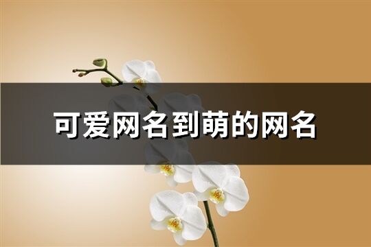 可爱网名到萌的网名(共417个)