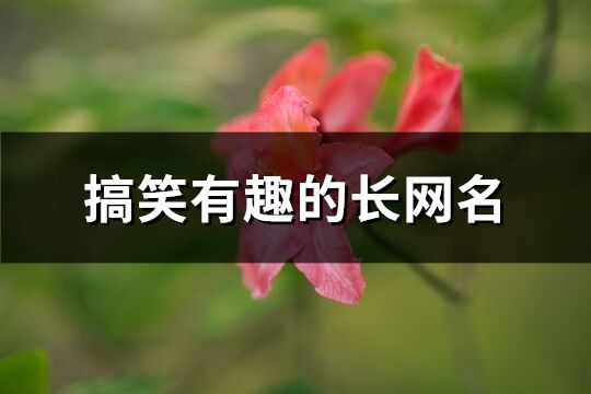 搞笑有趣的长网名(共478个)