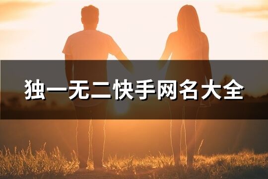 独一无二快手网名大全(668个)