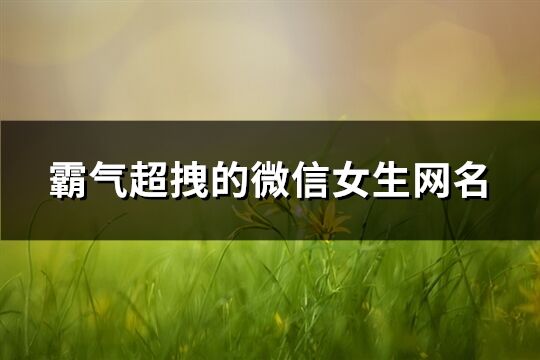 霸气超拽的微信女生网名(共439个)