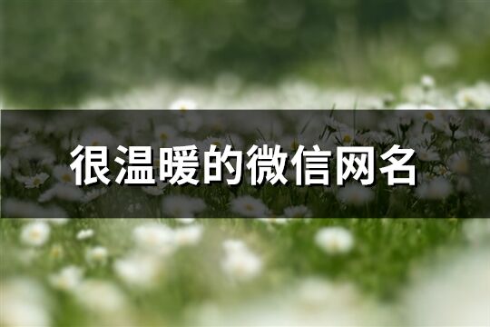 很温暖的微信网名(精选837个)