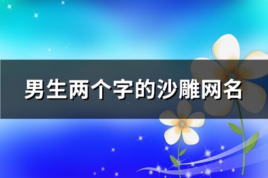 男生两个字的沙雕网名(共923个)