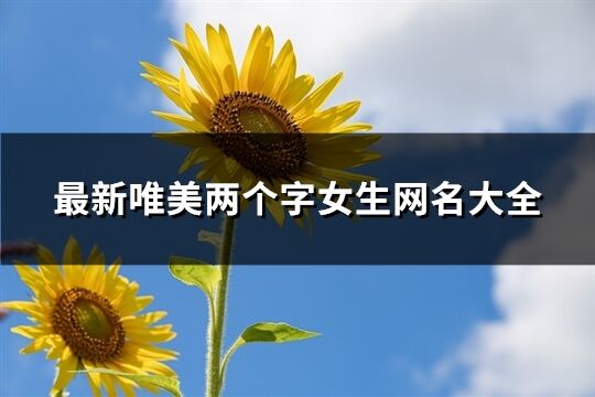 最新唯美两个字女生网名大全(精选1054个)