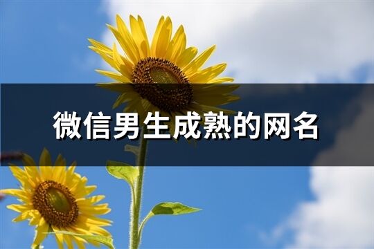 微信男生成熟的网名(1005个)