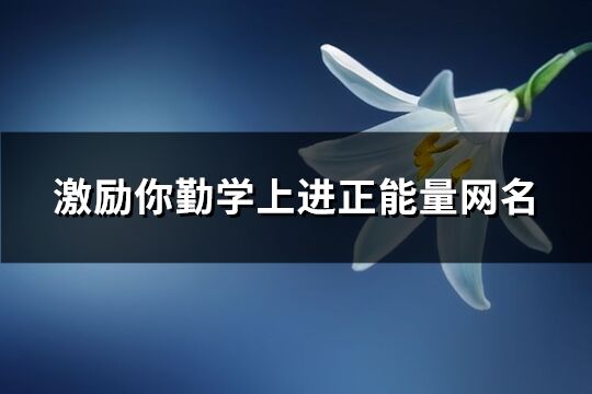 激励你勤学上进正能量网名(260个)