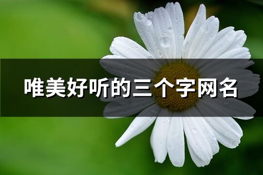 唯美好听的三个字网名(精选1061个)