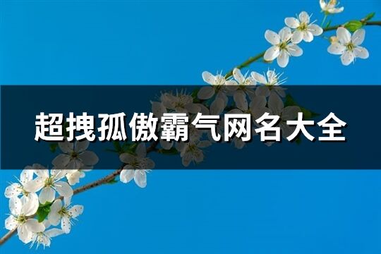 超拽孤傲霸气网名大全(共290个)